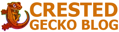 Crested Gecko Blog