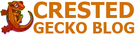 Crested Gecko Blog